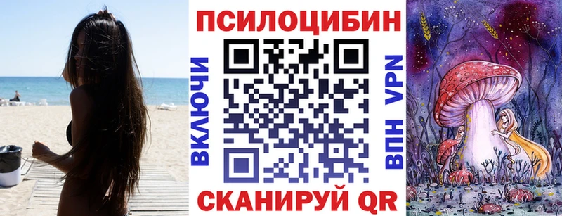 наркошоп  Гай  omg ссылка  Галлюциногенные грибы Cubensis 